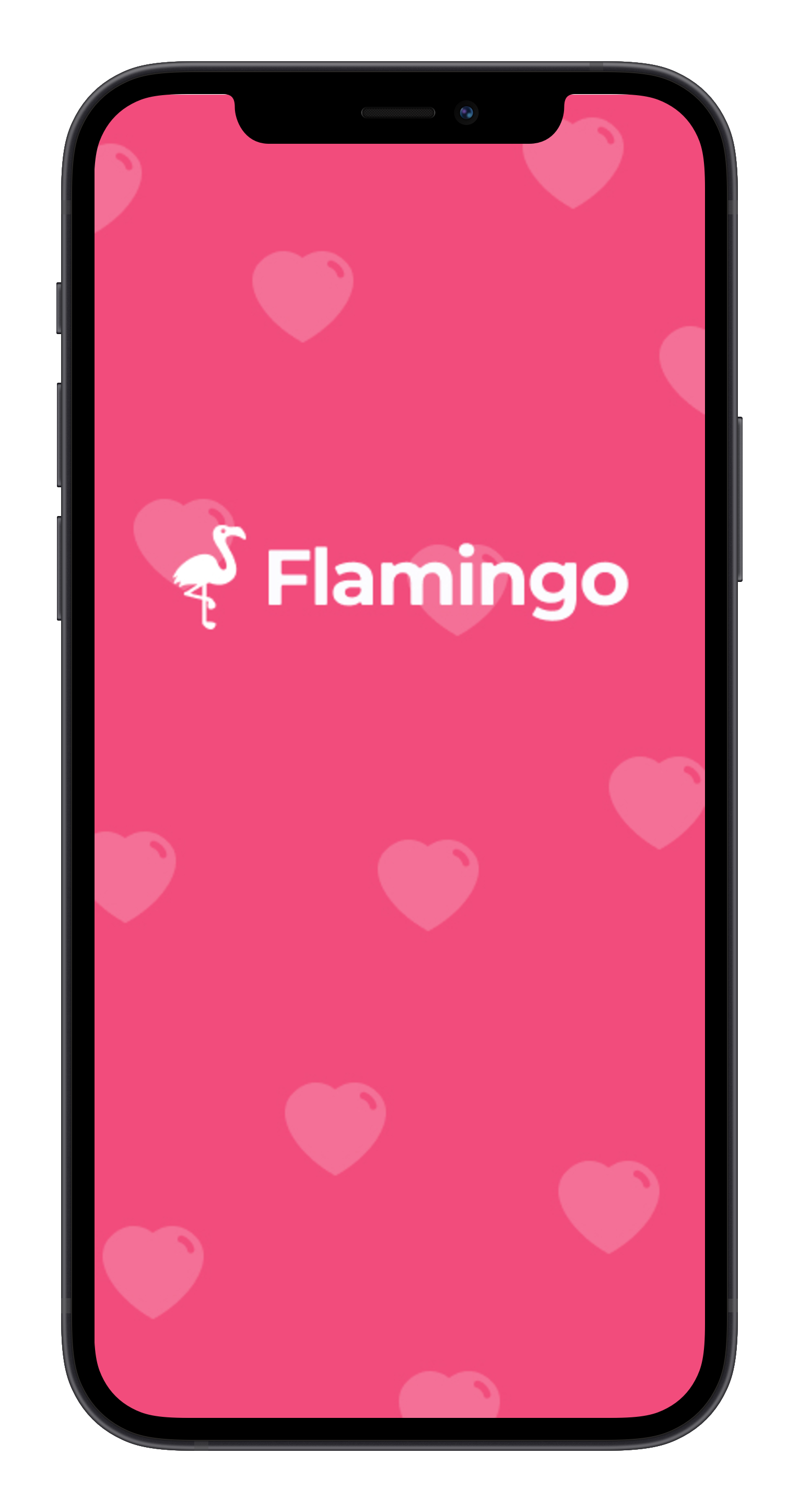 Flamingo Welcome Screen